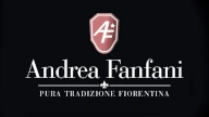 Andrea Fanfani